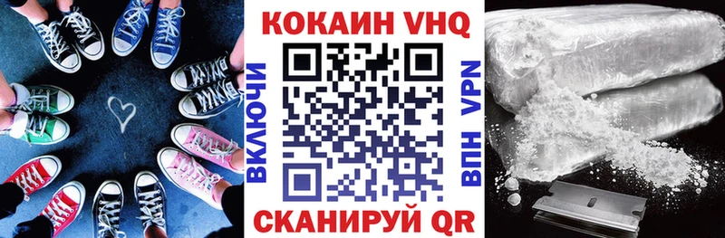 Купить закладки  Котельнич  COCAIN Fish Scale 