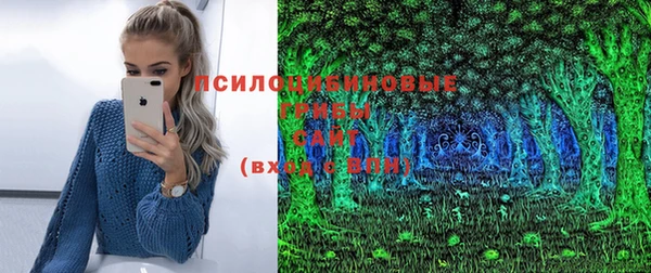 соль ск Верхний Тагил