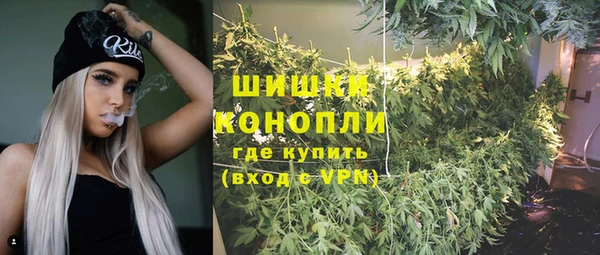 соль ск Верхний Тагил