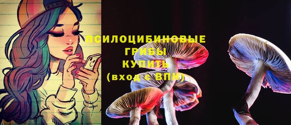 mdpv Верея