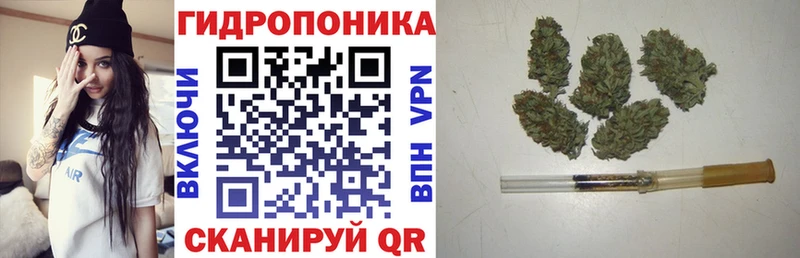 Купить где  Котельнич  Бошки марихуана сатива 